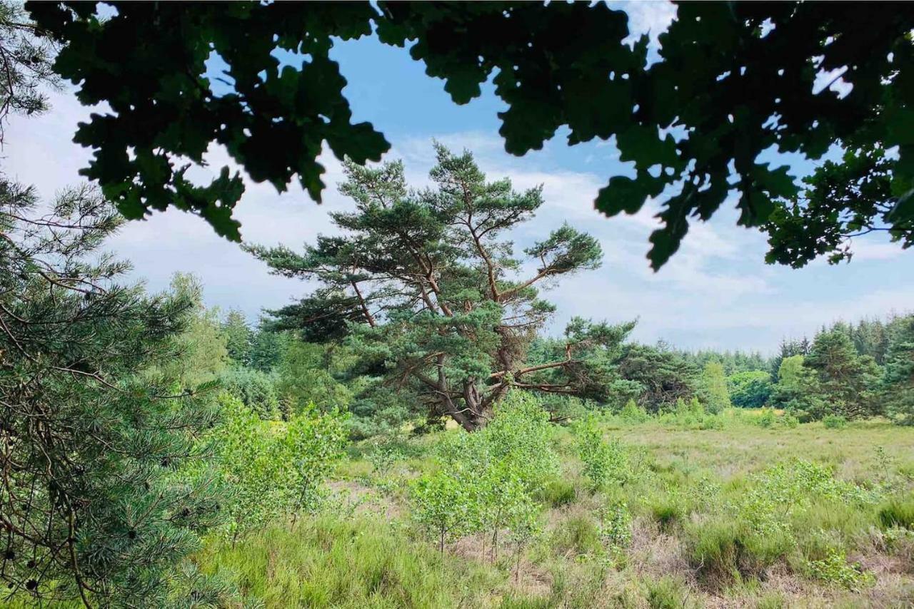 Vila Zonnebos, Private Garden, Fresh Air, Relax! Otterlo Exteriér fotografie
