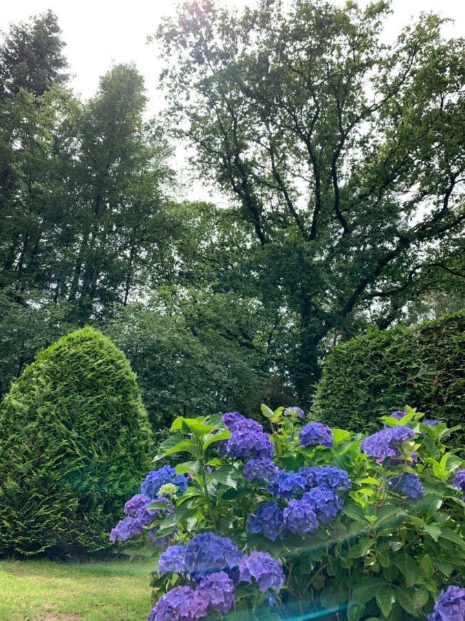Vila Zonnebos, Private Garden, Fresh Air, Relax! Otterlo Exteriér fotografie